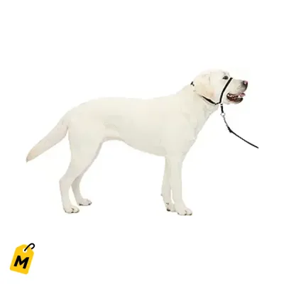 Collar PetSafe Gentle Leader Anti-Jalon - Pa que tu Perro no Jale Mas - Grande Negro