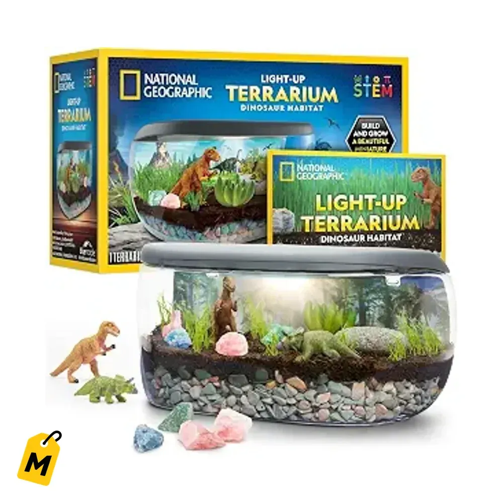 Terrario Dino con Luz pa Ninos - Crea tu Habitat Prehistorico